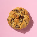 choc chip walnut cookie